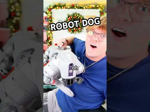 I Just Got a Robot Dog… and It’s Insane!