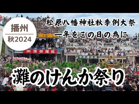 熱気上昇‼︎灘のけんか祭り2024🤜🤛其の二十