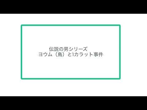 伝説の男シリーズ　ヨウム（鳥）と1カラット事件