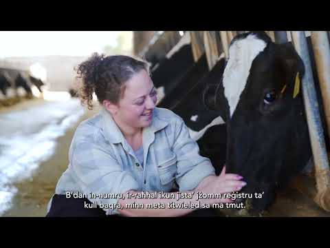 From Farm to Table (Benna's Journey)