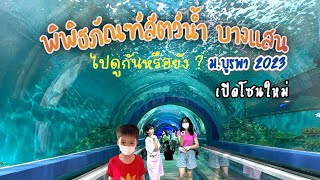 เที่ยวชลบุรี พิพิธภัณฑ์สัตว์น้ำบางแสน เปิดโซนใหม่ 2023