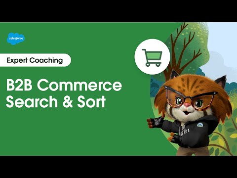 B2B Commerce: Search & Sort | Expert Coaching