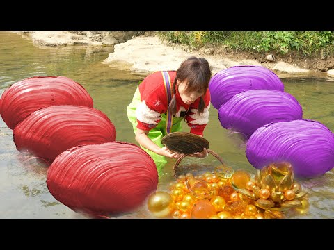 🎁💎 Diligent girl：She Finds an Ancient Giant Mussel Loaded with Many Rare and Beautiful Pearls