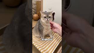 秋冬养猫毛的秘诀就是它！ 萌宠好物 新手养猫 猫毛解决方案 宠物鱼油 鱼油