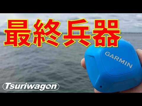 はっきり言ってこれは反則です【青物入れ食い・泉佐野一文字】GARMIN STRIKER Cast GPS Blue-backed fish