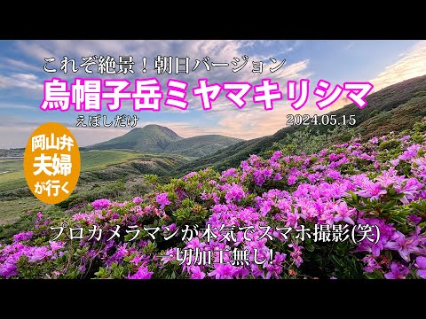 【烏帽子岳ミヤマキリシマの朝日】2024 05 15 絶景とはこのことか！プロが本気でスマホ撮り(笑)