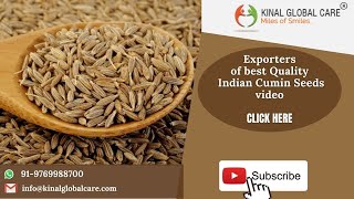 Indian Cumin Seeds