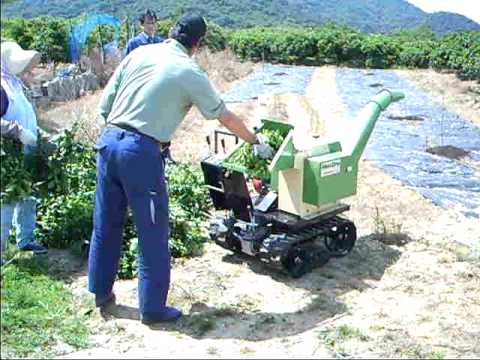 みかん剪定枝の粉砕ミニドラにて（広島県尾道市）