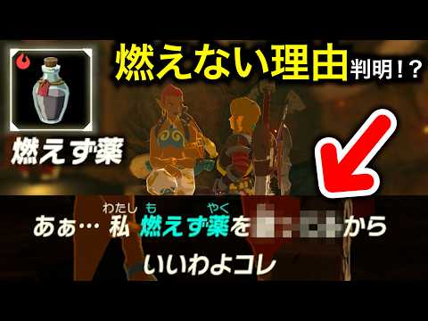 お姉さんが教えてくれた燃えず薬の秘密！？ ＆ 岩オクタが酷いです。【ゼルダの伝説 ブレスオブザワイルド】#42