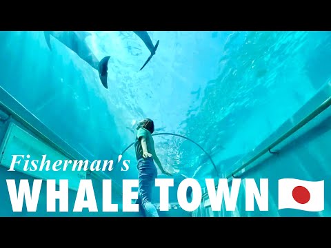 WAKAYAMA🇯🇵 Whaling Village "TAIJI"🐳⚓️ Japan Travel Vlog!! Japanese countryside