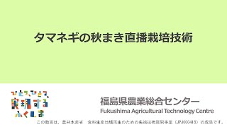 タマネギの秋まき直播栽培技術