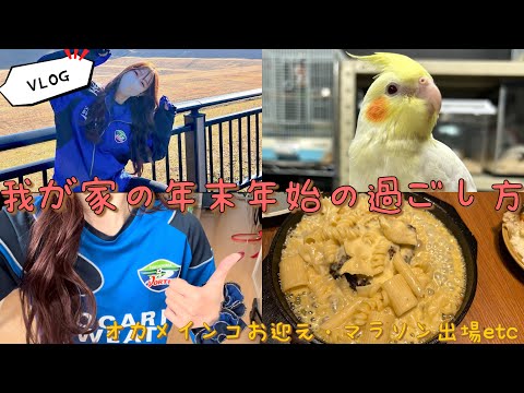 【VLOG】我が家の年末年始〜オカメインコお迎え・マラソン大会出場etc...〜