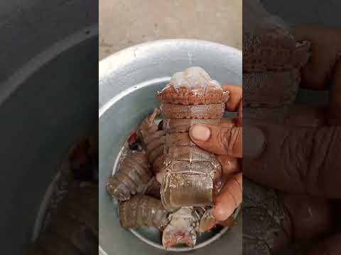 🦈🦈🦀🦞🦞sea food #shortsviral #trending #seafood #fish #shark #crab #lobster #vdj #vlogs