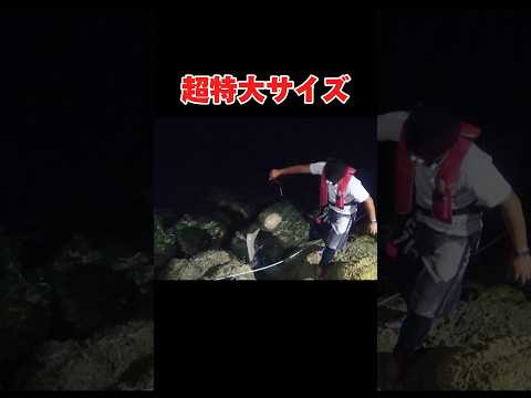 夜の魔物大型魚を釣り上げた#釣り#沖縄#宮古島