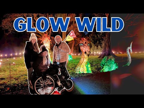 🎄Glow Wild. A Wheelchair Accessible Christmas Light Trail | Wakehust 2024