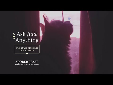 Ask Julie Anything - November 2024 Q & A Session