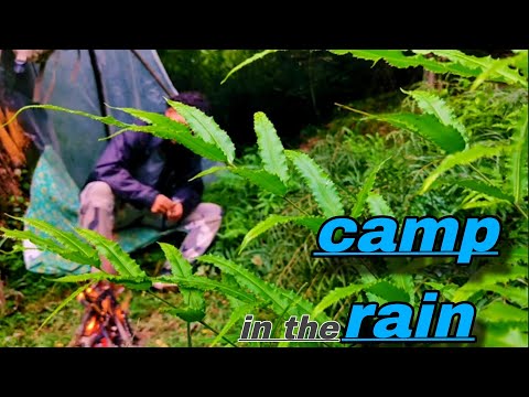 camping in the rain[I went to the top of the mountain in the rain and fog after setting up the tent!