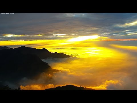 阿里山即時影像-二延平步道-日落、雲海-縮時 | Eryanping Trail Sunset Timelapse in Alishan, Taiwan