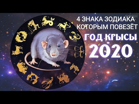 4 ЗНАКА ЗОДИАКА, которым ПОВЕЗЕТ в 2020/ Любимчики МЕТАЛЛИЧЕСКОЙ КРЫСЫ