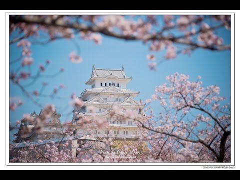 2016日本櫻之旅Day.2