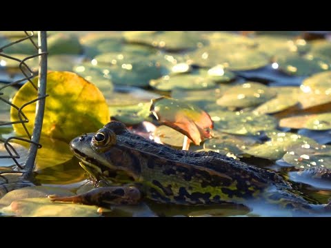 рыбалка с  ночевкой с лодки сумасшедший КЛЕВ