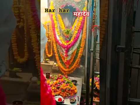 Mandir darshan Prayagraj #prayagraj #temple #mahadev #kanwaryatra #ganga #videoshorts