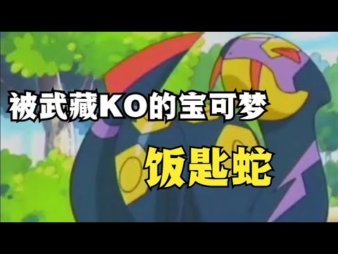 被武藏單挑KO的寶可夢—飯匙蛇