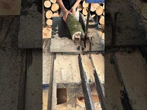 Wood cutting #woodworking #wood #shortvideo #woodwork #woodindustry #woodcutting #woodshop