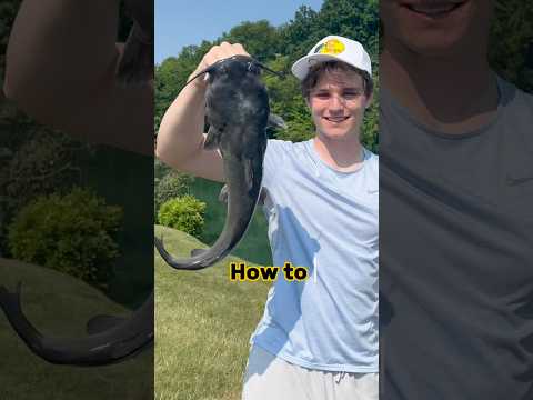 Transform YOUR Fishing Techniques Into BIG Catches!! #shorts #fishing