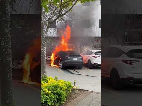 Fire BrokeOut from a Tesla today at WA