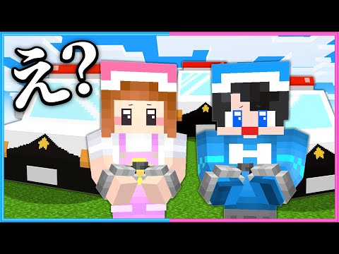 やっちゃった！？すべての行動が罪になるマインクラフト🚓👮【 マイクラ / Minecraft  】