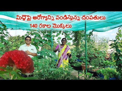 Watch How These Retired Teachers Growing 140 Types of Plants in Their Terrace Garden | మిద్దె తోట