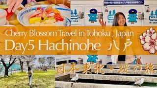 Travel in Hachinohe, Aomori Japan Day5  20240418🌸 Uminekotei うみねこ亭 Shirogane Station