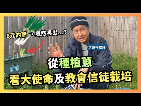 從一顆蔥苗學習聖經的大使命 栽培的重要性 李錦彬牧師 #基督教 #傳福音 #聖經