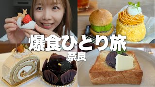 【奈良】世界大会優勝のケーキが凄すぎる！甘党による爆食ひとり旅2日目【ならまち】