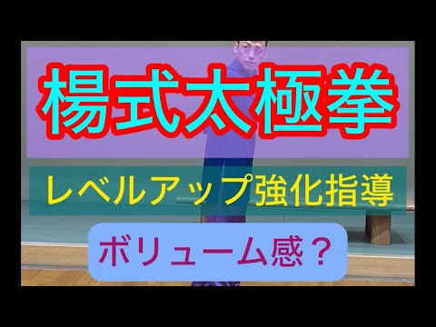 楊式太極拳をレベルアップ強化指導#張紹偉