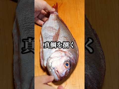 真鯛を三枚おろしで捌きながら疑問に思うこと #魚の捌き方