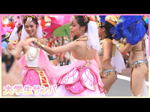 4K 大学生 浅草サンバカーニバル 2024 S1-⑤ ウニアン・ドス・アマドーリス Asakusa Samba Japan