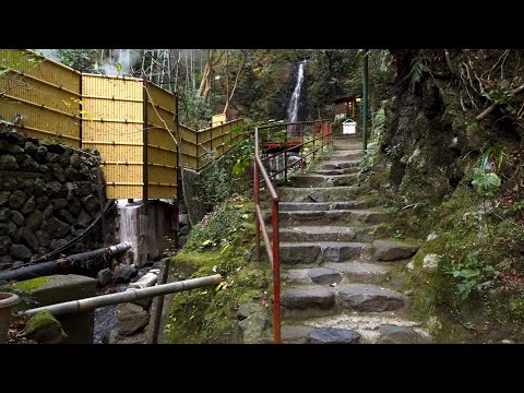 Walk in Japanese countryside "Yugawara "Village. Traditional Ryokan Hotels and Old houses.