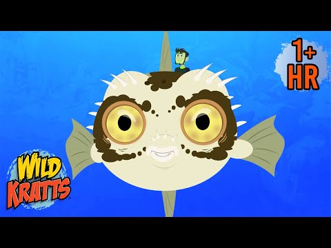 Deep Sea Creatures 🌊 | Sharks, Fish, and Frogs with Wild Kratts | 9 Story Kids