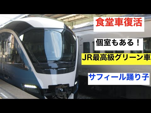 JR最高ランク？　 E261系 サフィール踊り子　超豪華グリーン車に乗車　食堂車も紹介　　伊豆④