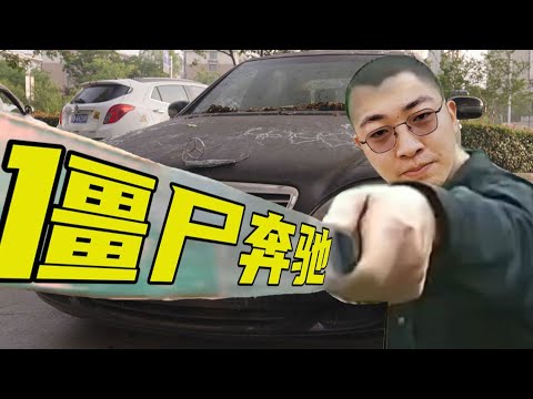 奔驰S变成僵尸车，1万7RMB好像打了水漂【FastDog狗哥】