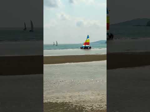 Sailing race from Cha-am Beach, Phetchaburi to Toei Ngam Beach, Chonburi #shorts #viral #thailand