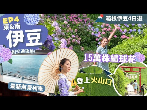 【東京近郊】EP4伊豆：￼乘海景觀光列車吃和牛🌊伊豆高原大室山火山口走一圈＼下田市新名所📸寢姿山打卡茶室／下田賞花．橫濱高達．羽田機場新設施｜附詳細交通｜南伊豆｜靜岡自由行｜一人旅｜箱根伊豆4日遊