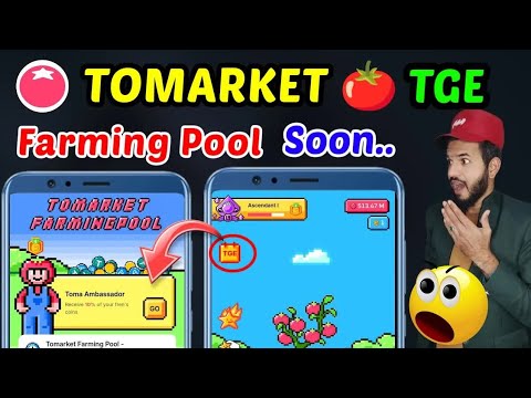 Tomarket 🍅 Farming pool ｜ Tomarket 🍅 $TOMA token Airdrop 2 days left ｜ Tomato snap Airdrop TGE Date