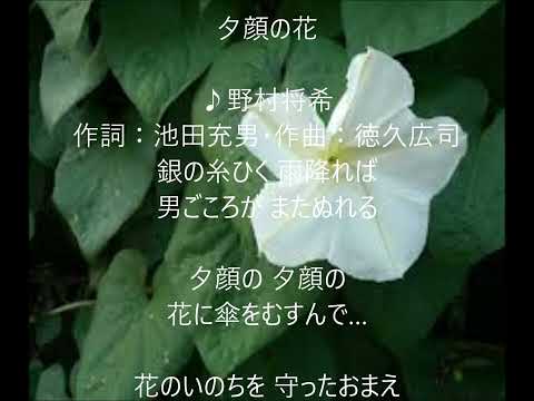 夕顔の花　唄　野村将希　cover 太陽と月