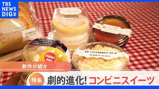 【特集】劇的進化！コンビニスイーツ最前線｜TBS NEWS DIG