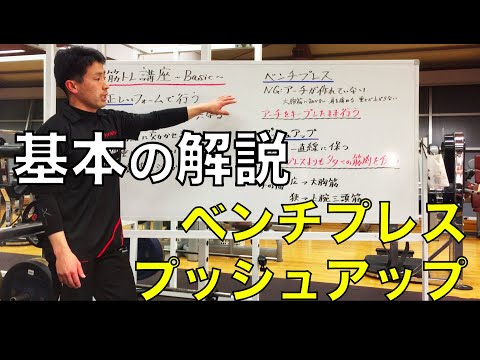 【胸トレーニング（解説）】ベンチプレス＆プッシュアップ（腕立て）徹底解説！