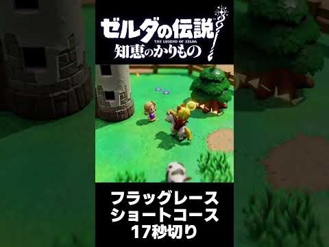 ゼルダの伝説　知恵のかりもの　フラッグレース17秒切り #ゼルダの伝説 #ゲーム実況 #知恵のかりもの  #ゲーム