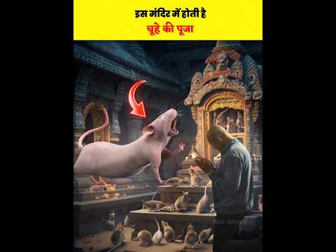 😱🐭यहाँ चुहो की पूजा होती है | इस मंदिर में लोग क्यों करते हैं#viral#facts#shortsindia#rat#karnimata